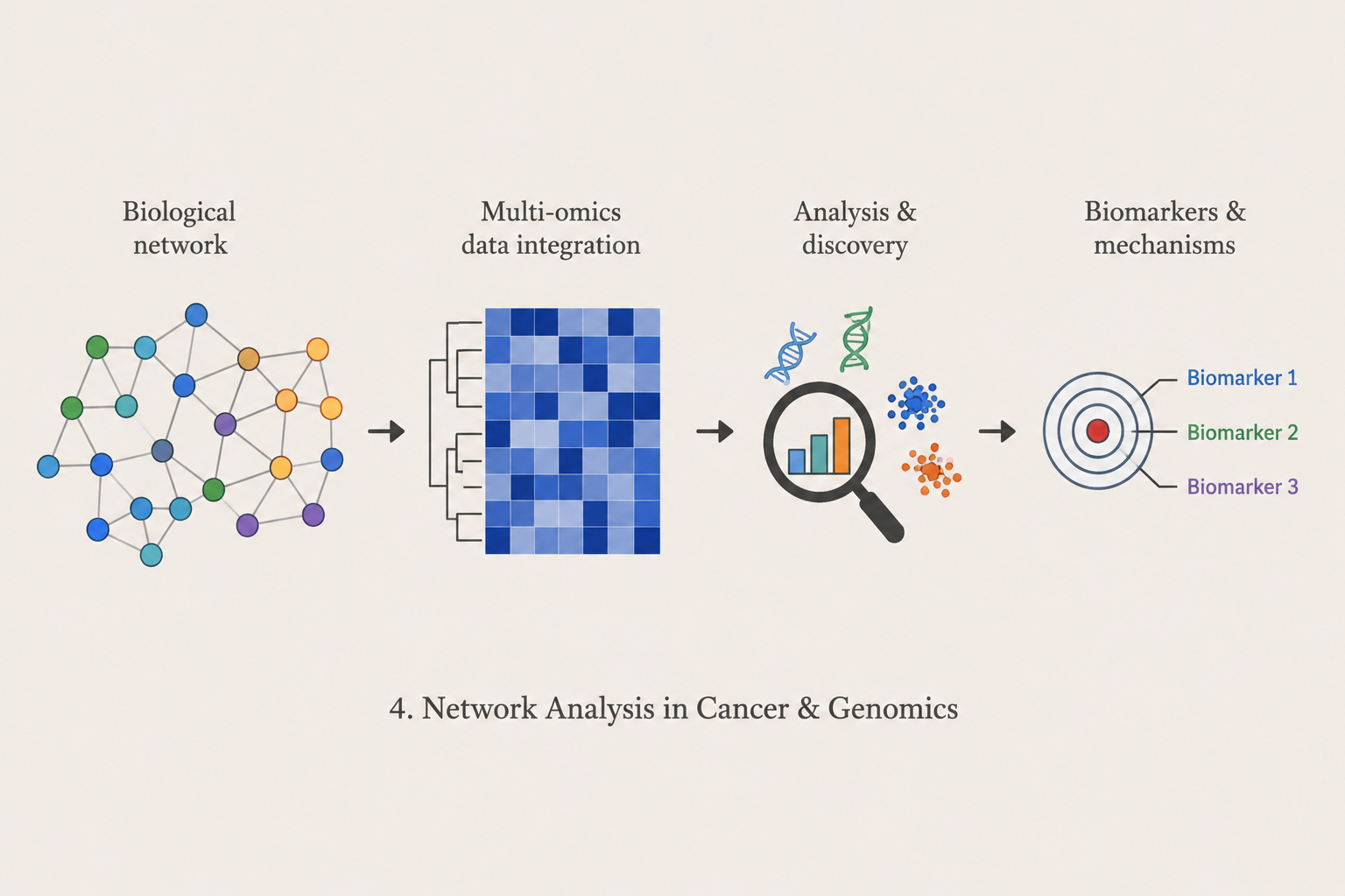 Network analysis in cancer and genomics