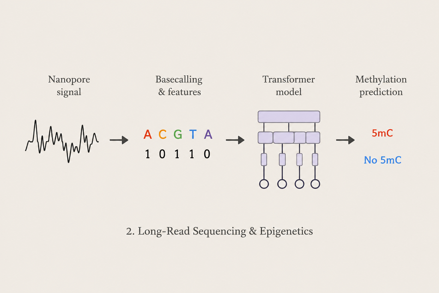 Nanopore long-read sequencing and epigenetics
